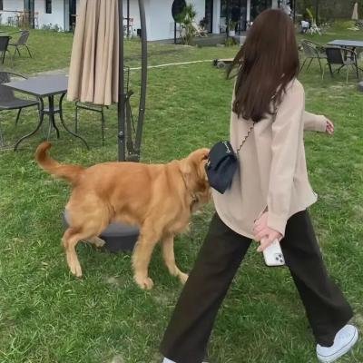 风带著我来